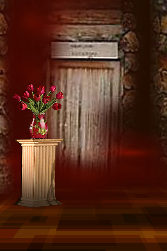 Studio Canvas Background HD Quality (363)