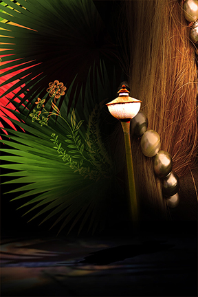 Studio Canvas Background HD Quality (375)