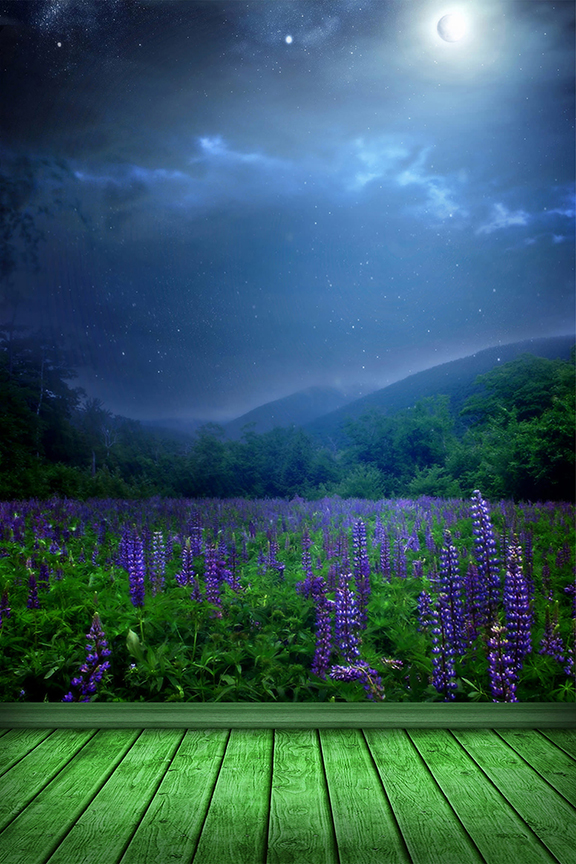 Studio Canvas Background HD Quality (409)