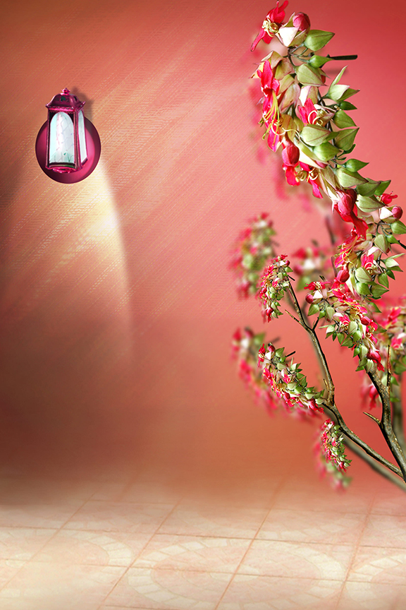 Studio Canvas Background HD Quality (418)
