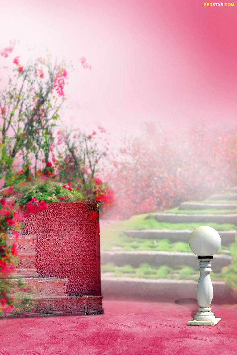 Studio Canvas Background HD Quality (442)