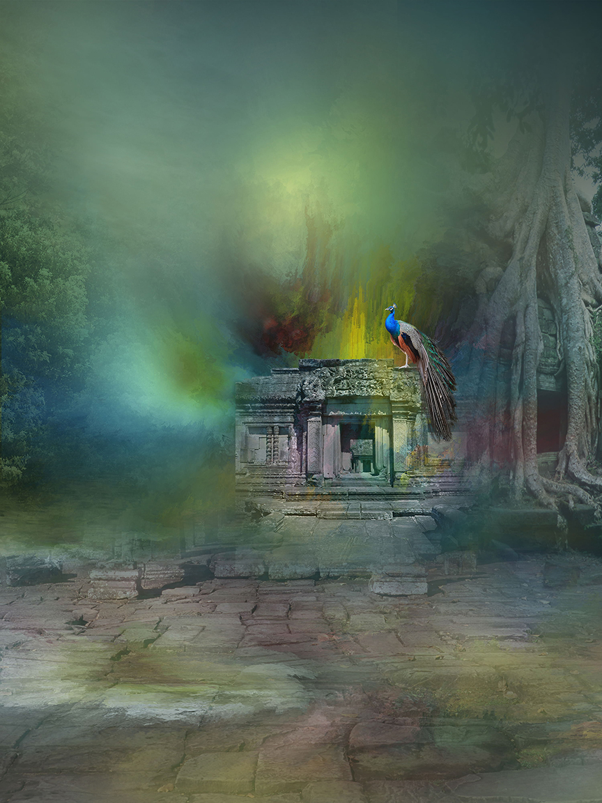 Studio Canvas Background HD Quality (462)