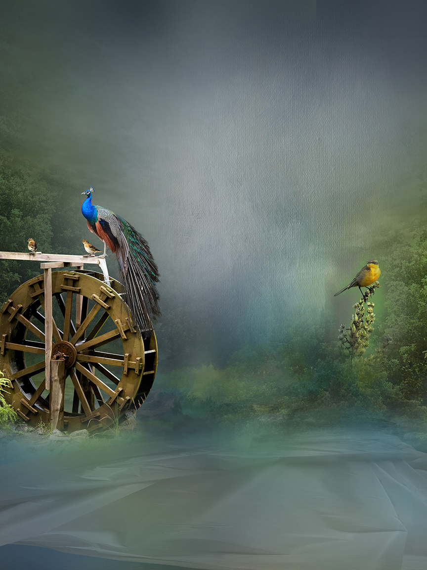 Studio Canvas Background HD Quality (468)