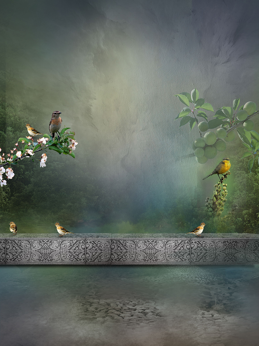 Studio Canvas Background HD Quality (471)