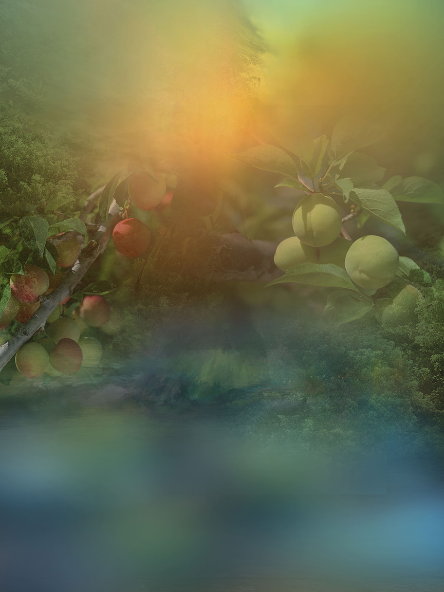 Studio Canvas Background HD Quality (472)