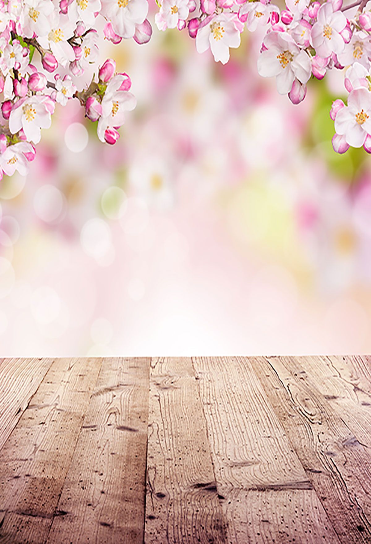 Studio Canvas Background HD Quality (493)