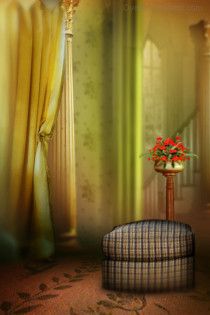 Studio Canvas Background HD Quality (501)