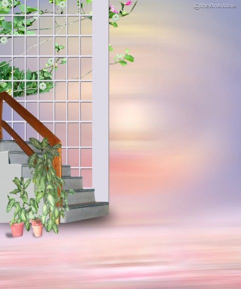 Studio Canvas Background HD Quality (502)