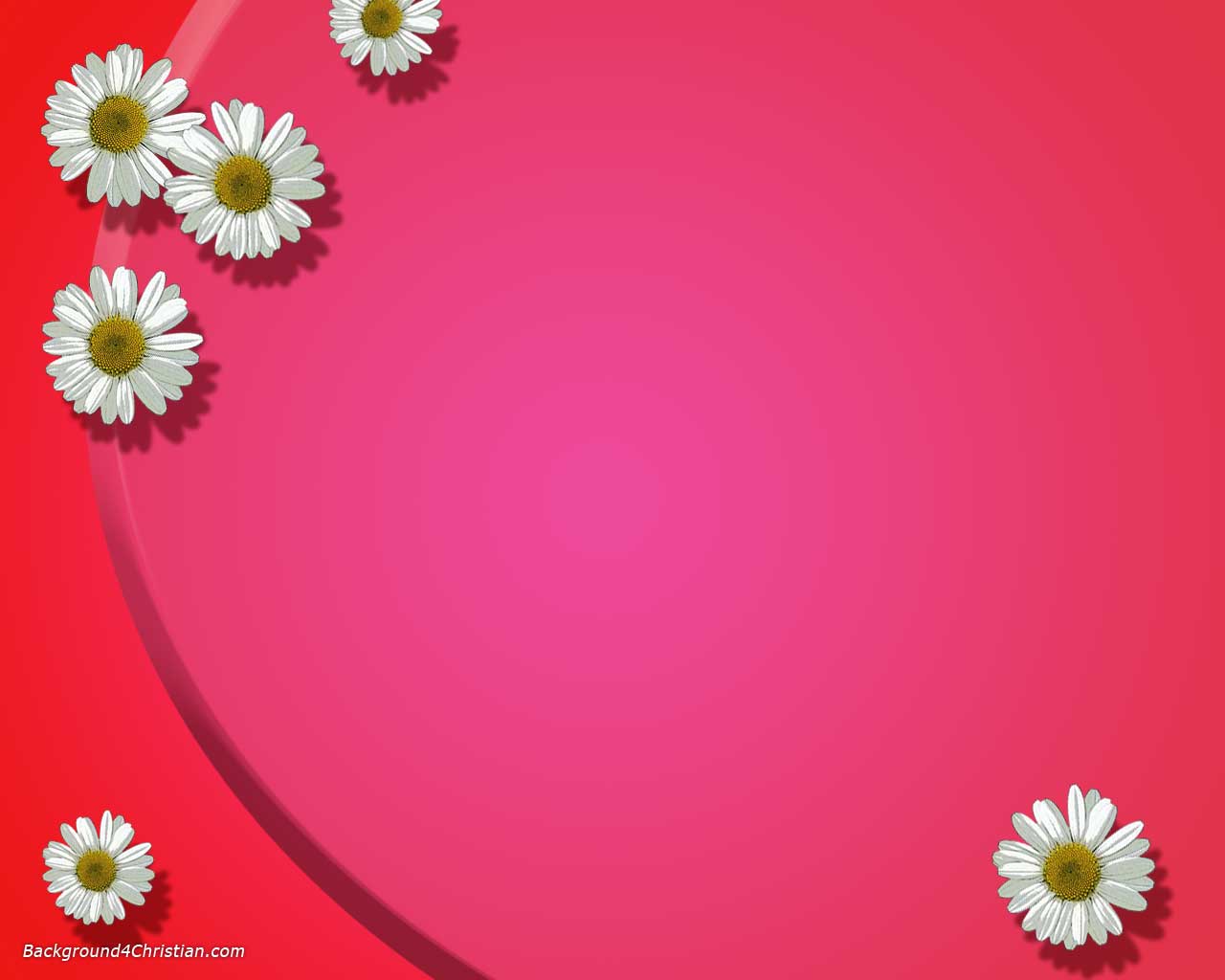 Studio Canvas Background HD Quality (512)