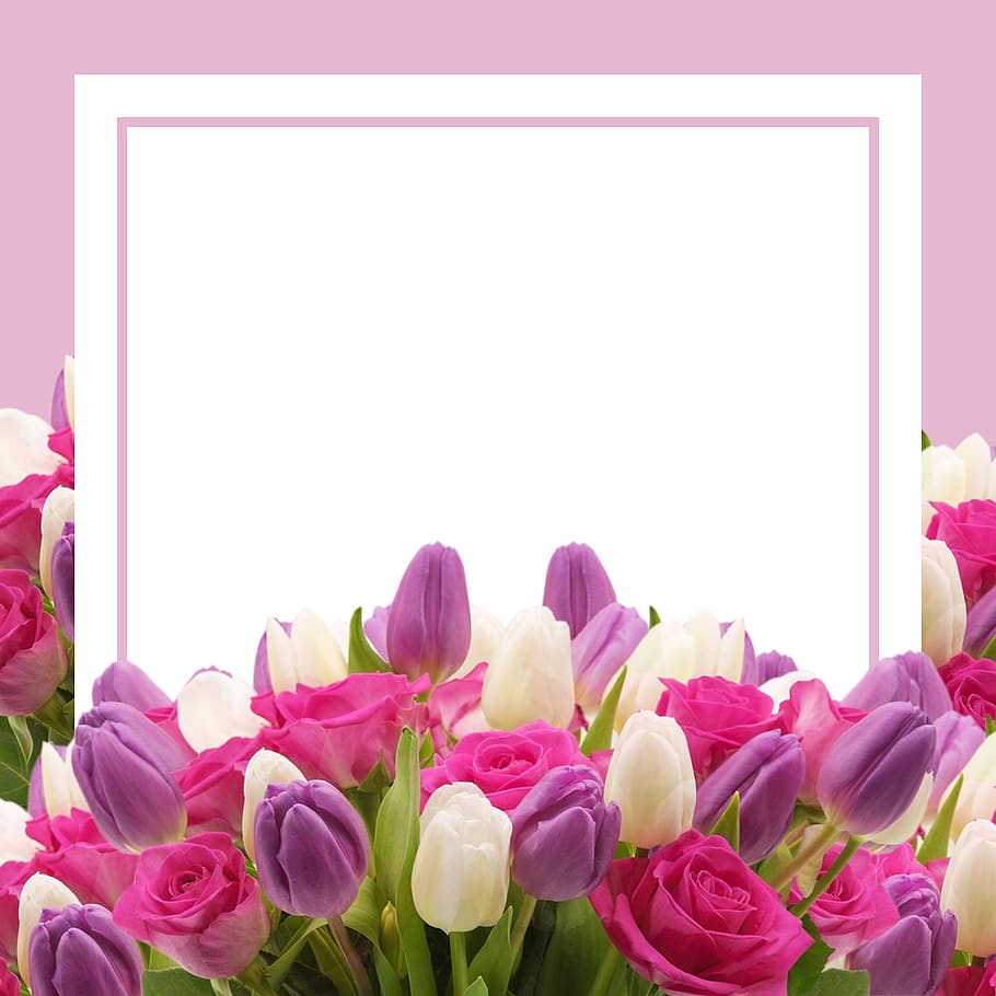 Studio Canvas Background HD Quality (538)