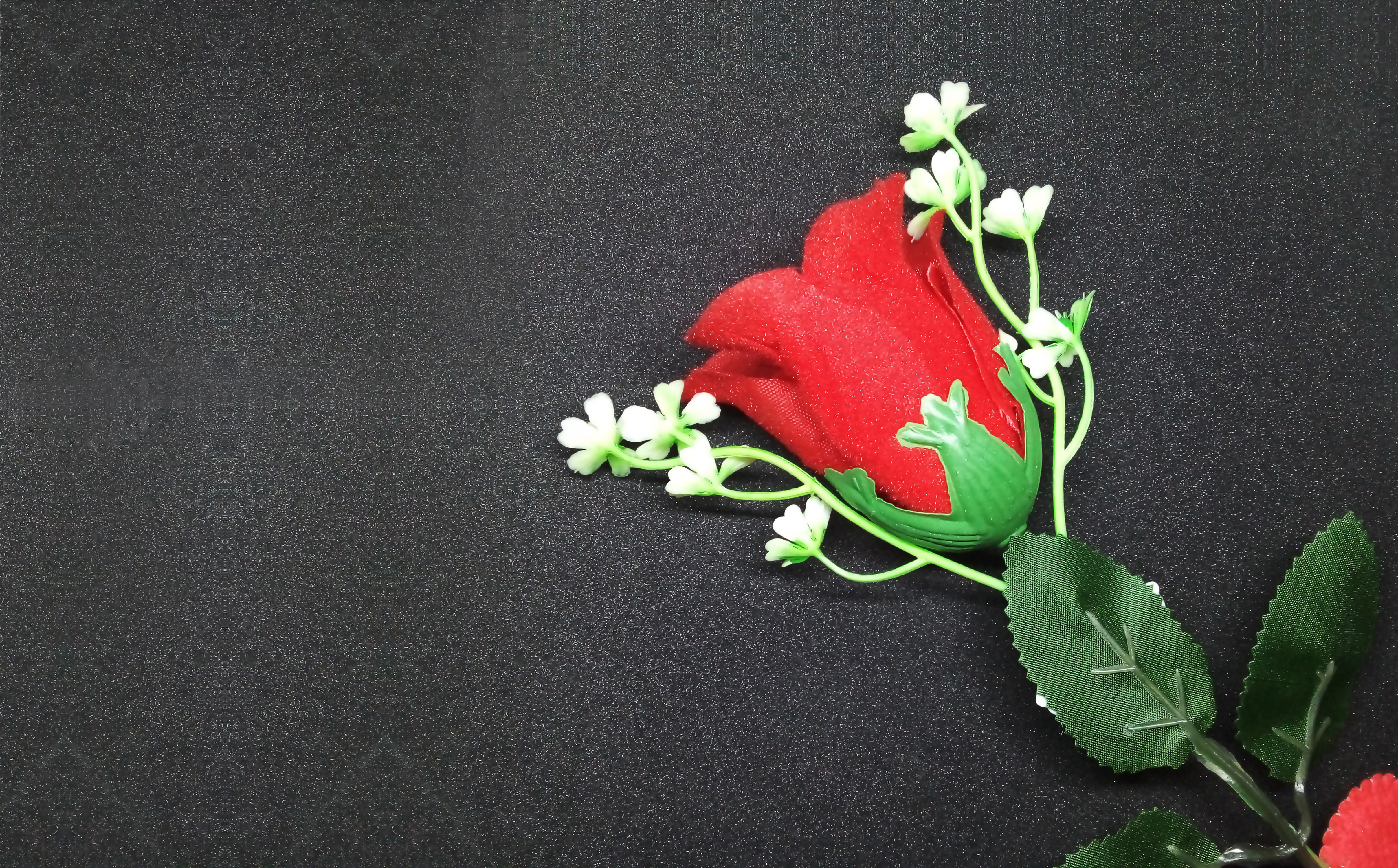 Studio Canvas Background HD Quality (570)