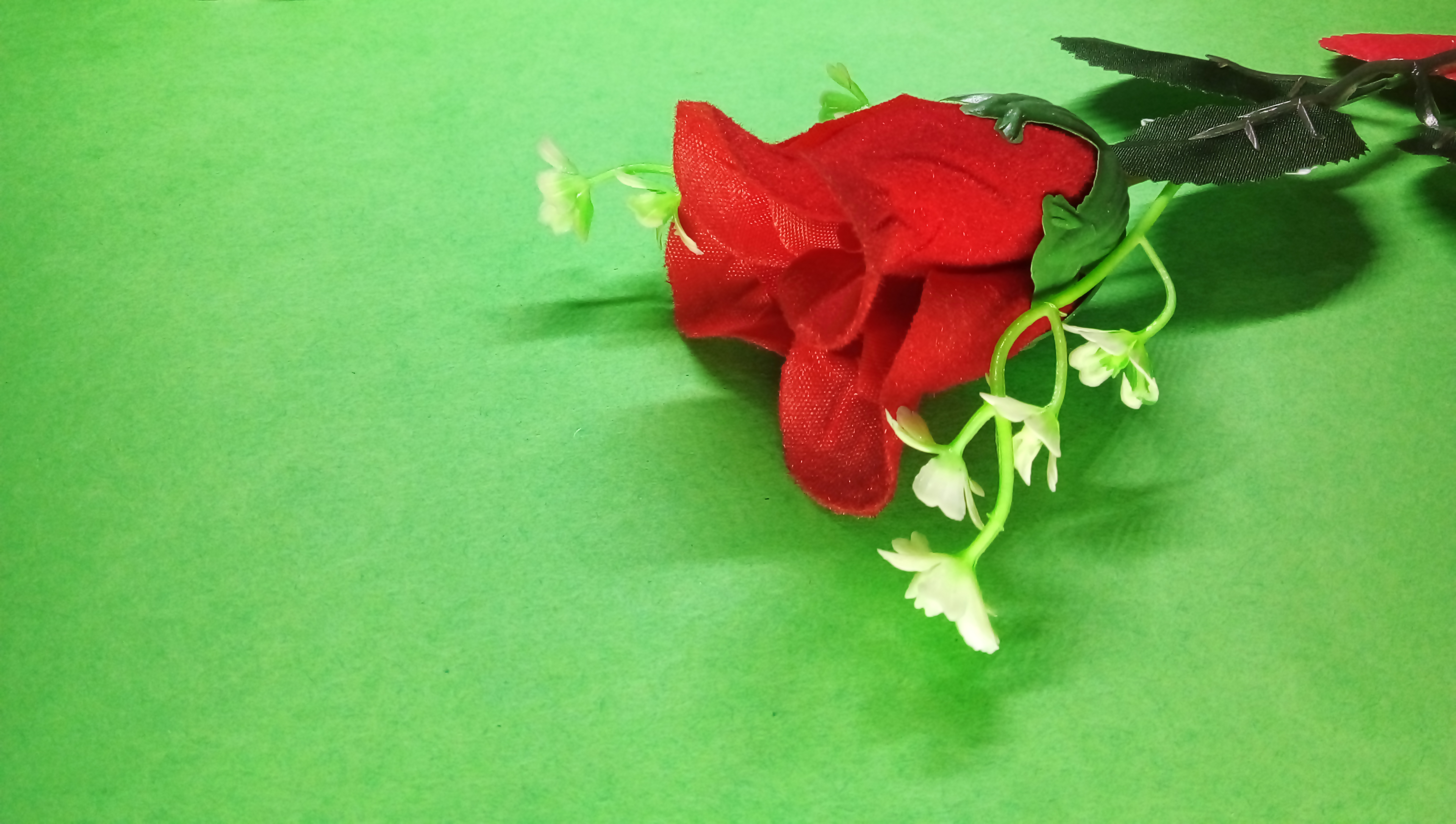 Studio Canvas Background HD Quality (571)