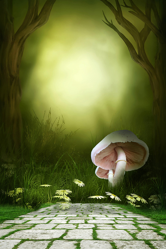 Studio Canvas Background HD Quality (599)