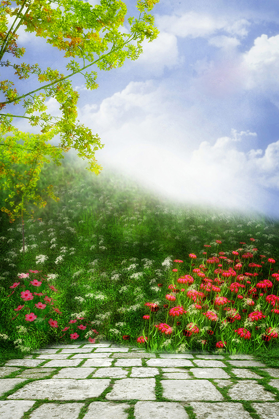Studio Canvas Background HD Quality (612)