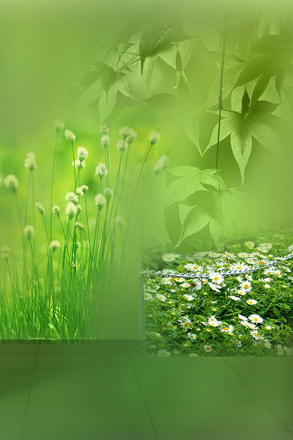 Studio Canvas Background HD Quality (628)