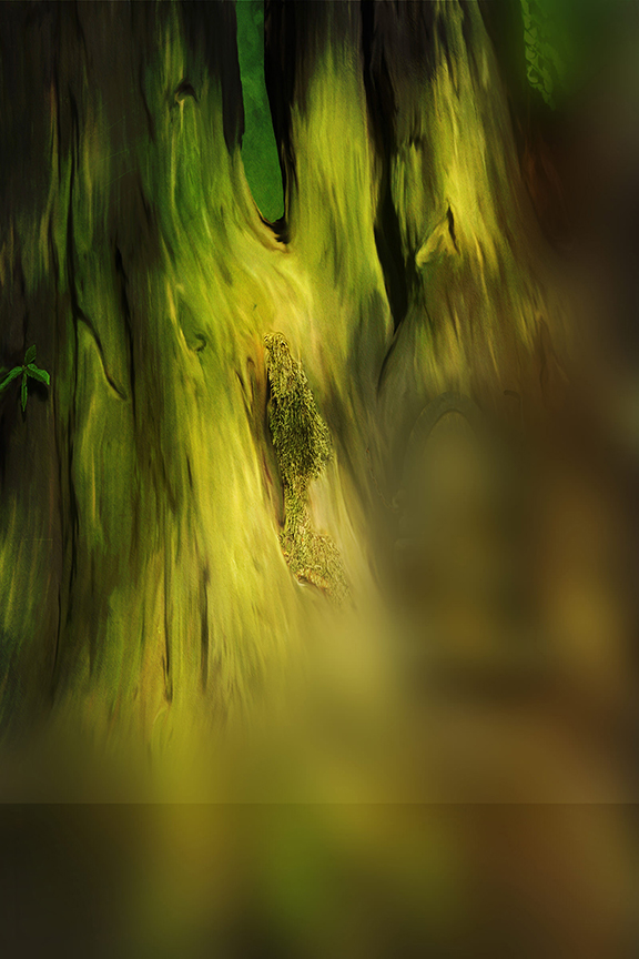 Studio Canvas Background HD Quality (644)
