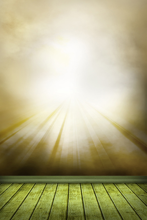 Studio Canvas Background HD Quality (650)