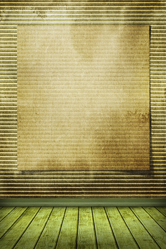 Studio Canvas Background HD Quality (652)