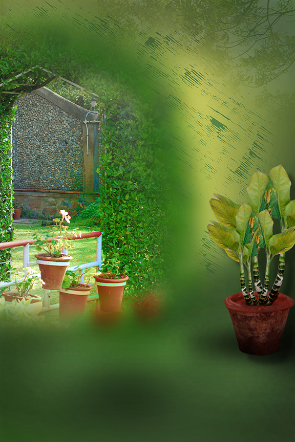 Studio Canvas Background HD Quality (659)