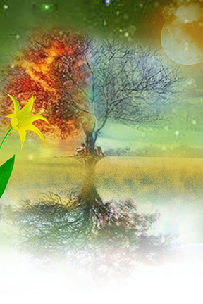 Studio Canvas Background HD Quality (661)