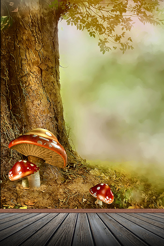Studio Canvas Background HD Quality (663)