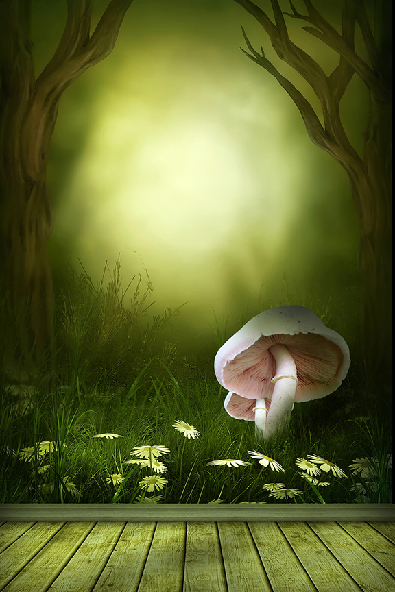 Studio Canvas Background HD Quality (665)