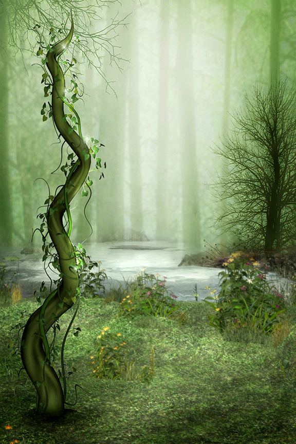 Studio Canvas Background HD Quality (667)