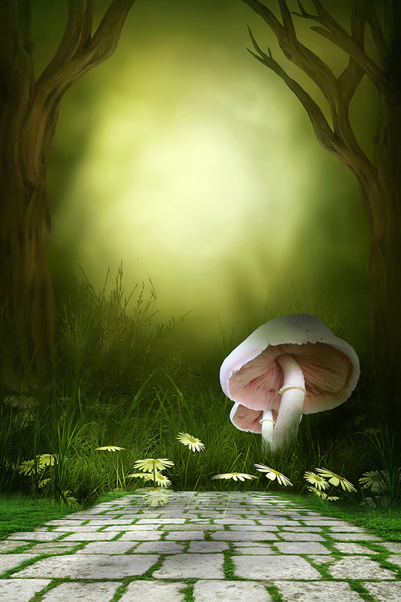 Studio Canvas Background HD Quality (672)
