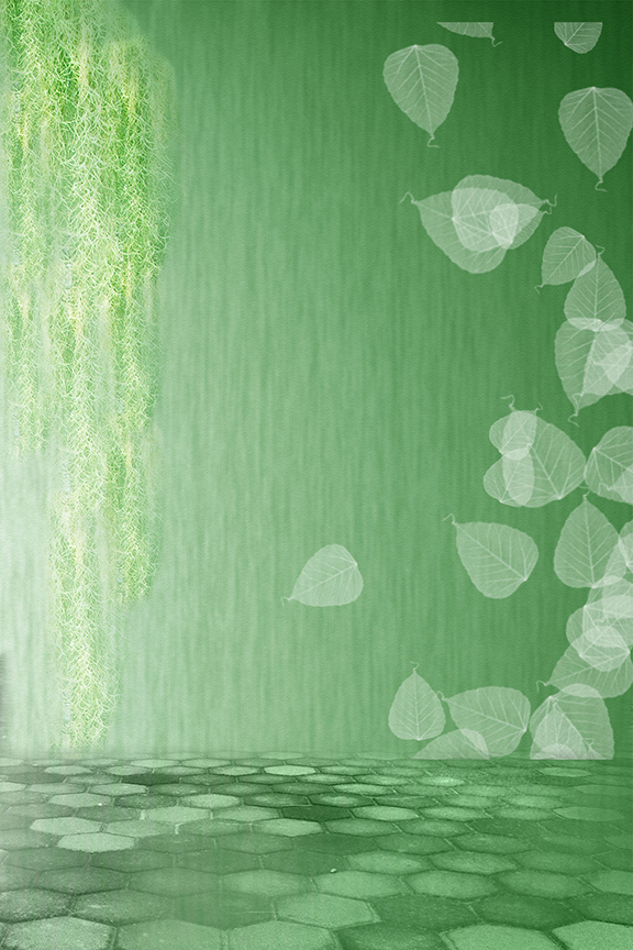 Studio Canvas Background HD Quality (682)