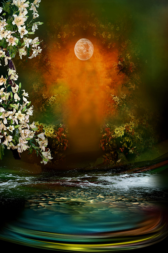 Studio Canvas Background HD Quality (684)