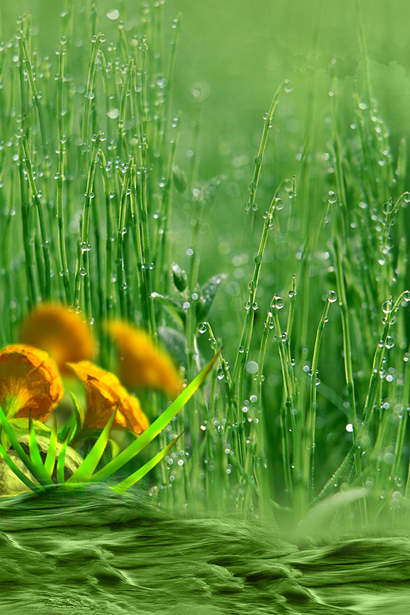 Studio Canvas Background HD Quality (688)