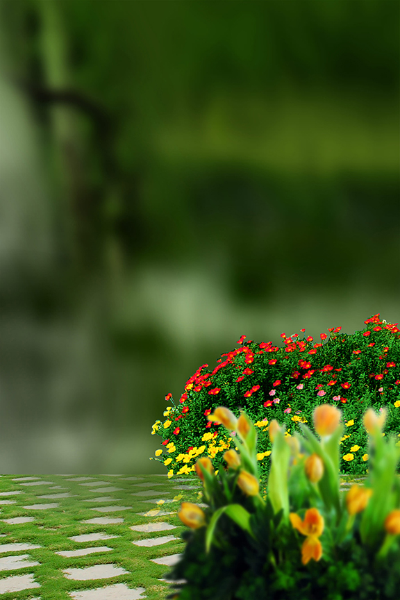 Studio Canvas Background HD Quality (692)
