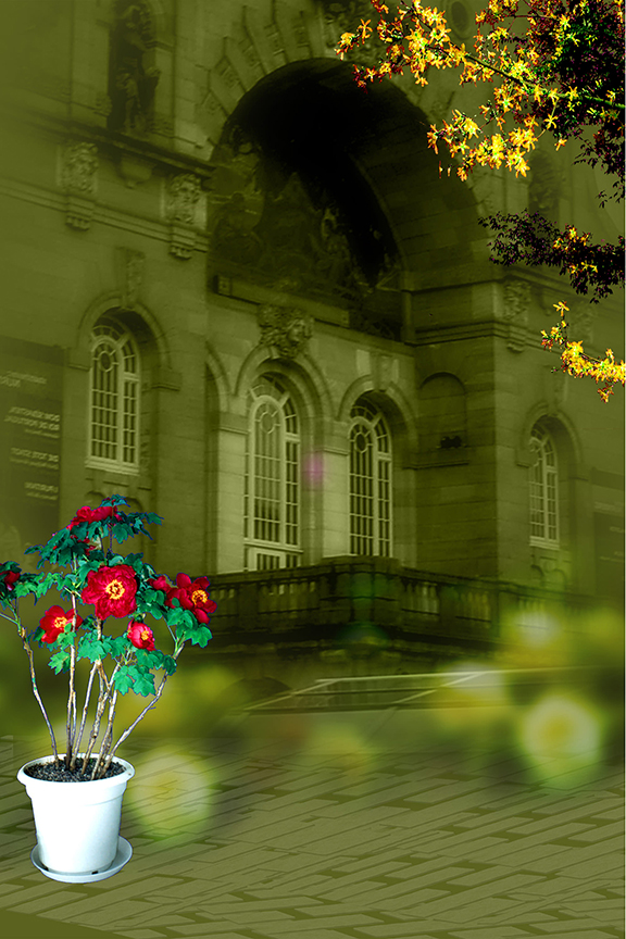 Studio Canvas Background HD Quality (693)
