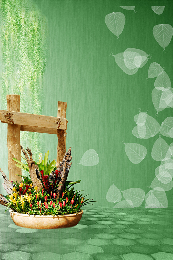 Studio Canvas Background HD Quality (696)