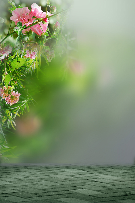 Studio Canvas Background HD Quality (700)