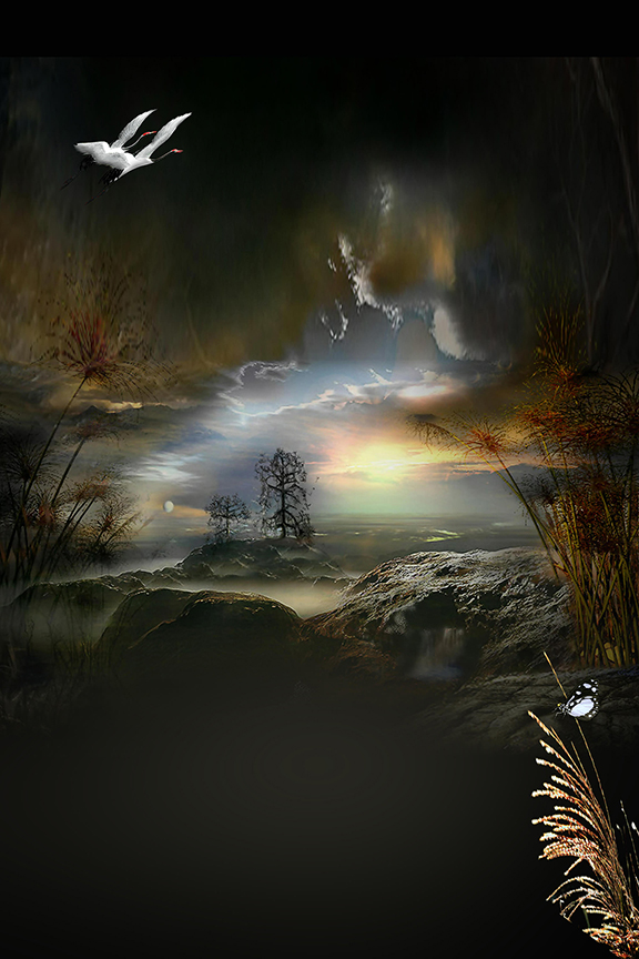 Studio Canvas Background HD Quality (720)