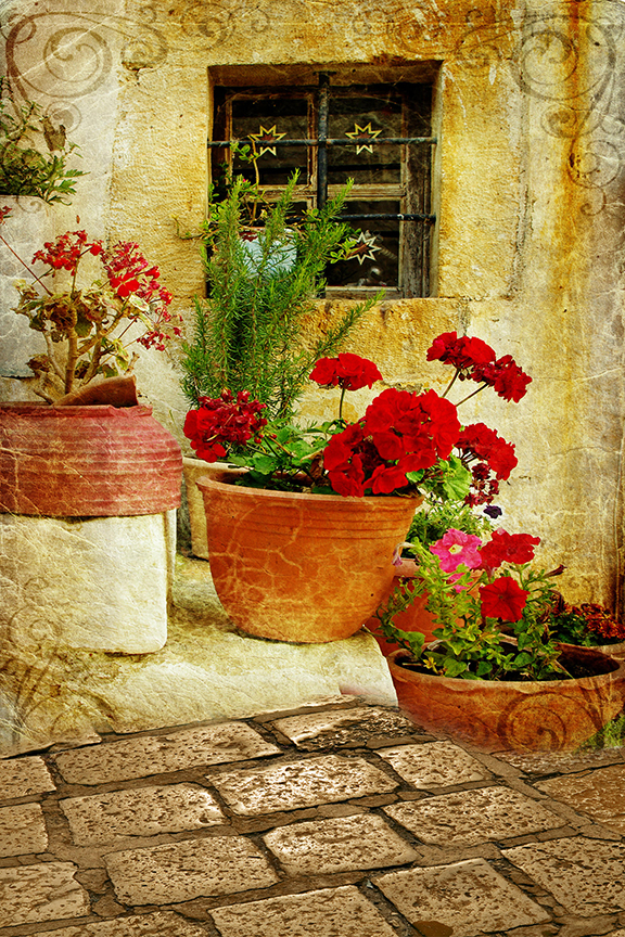 Studio Canvas Background HD Quality (769)