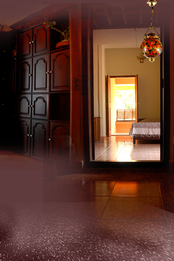 Studio Canvas Background HD Quality (790)