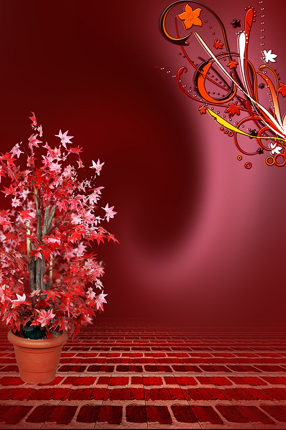 Studio Canvas Background HD Quality (801)