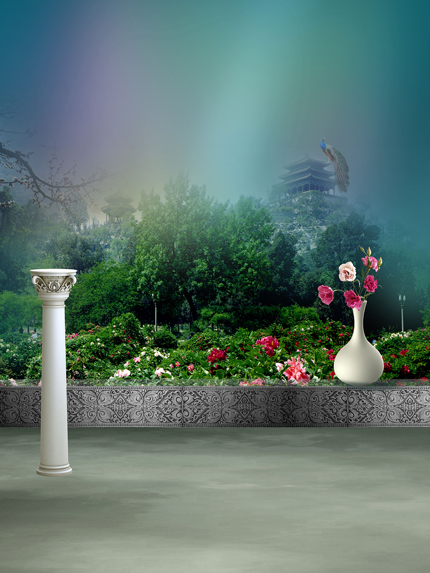 Studio Canvas Background HD Quality (810)