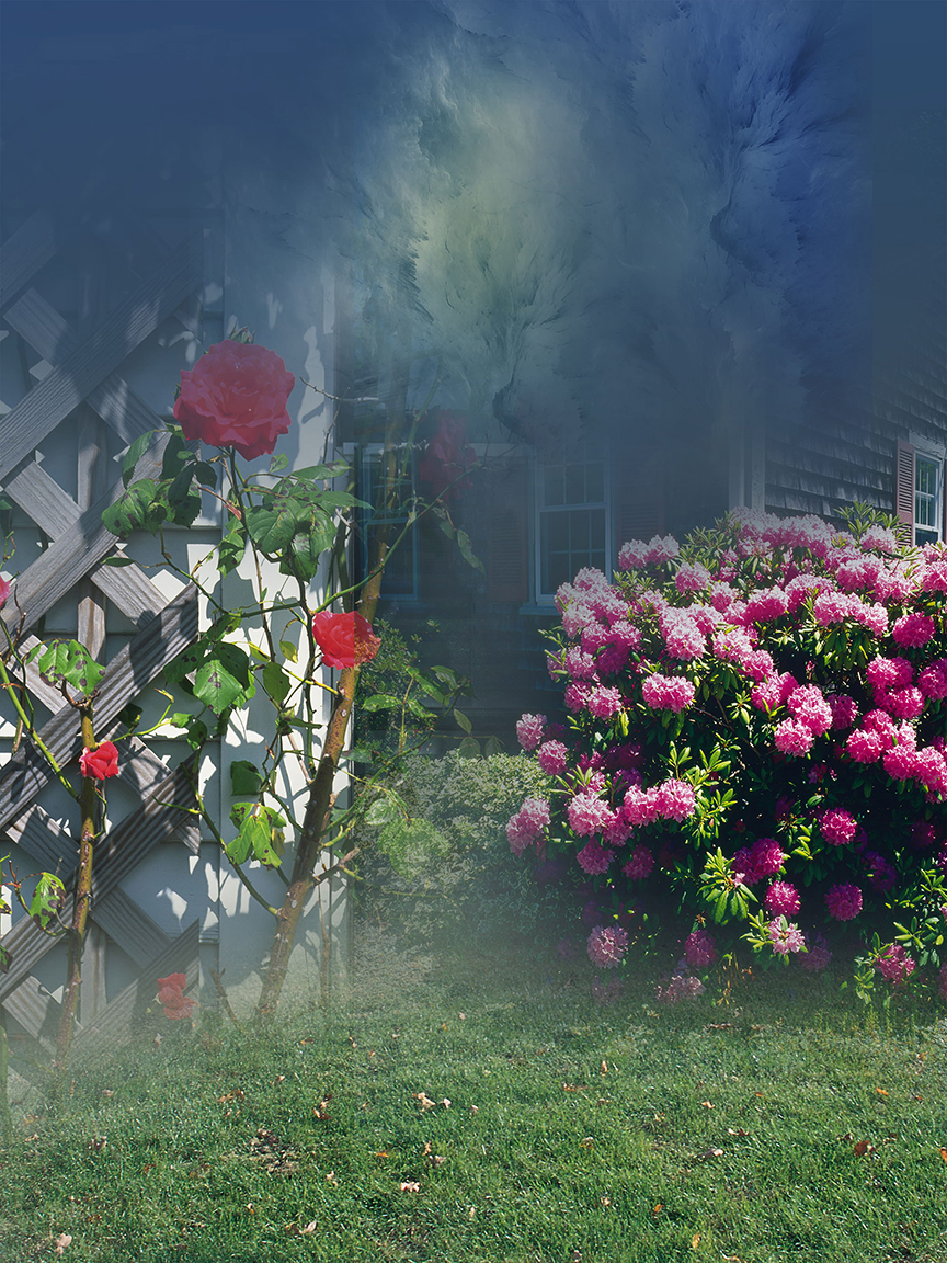 Studio Canvas Background HD Quality (823)