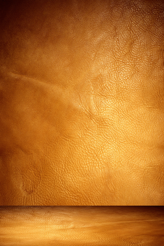 Studio Canvas Background HD Quality (867)
