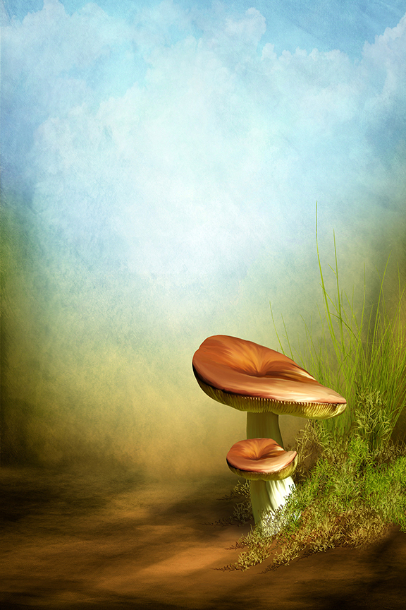 Studio Canvas Background HD Quality (884)