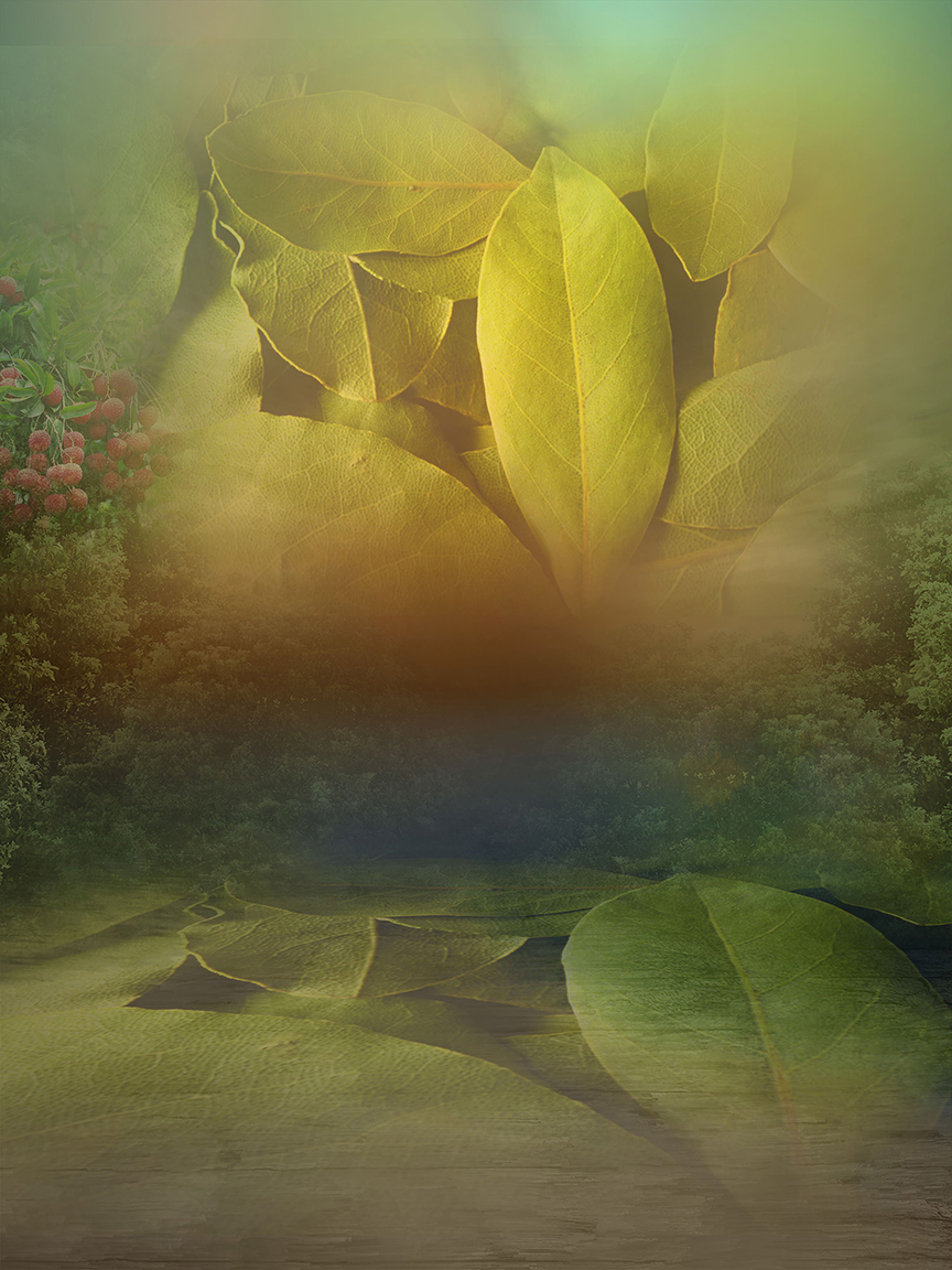 Studio Canvas Background HD Quality (1022)