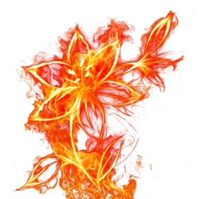 Fier Expoution PNG Image Resource (6)