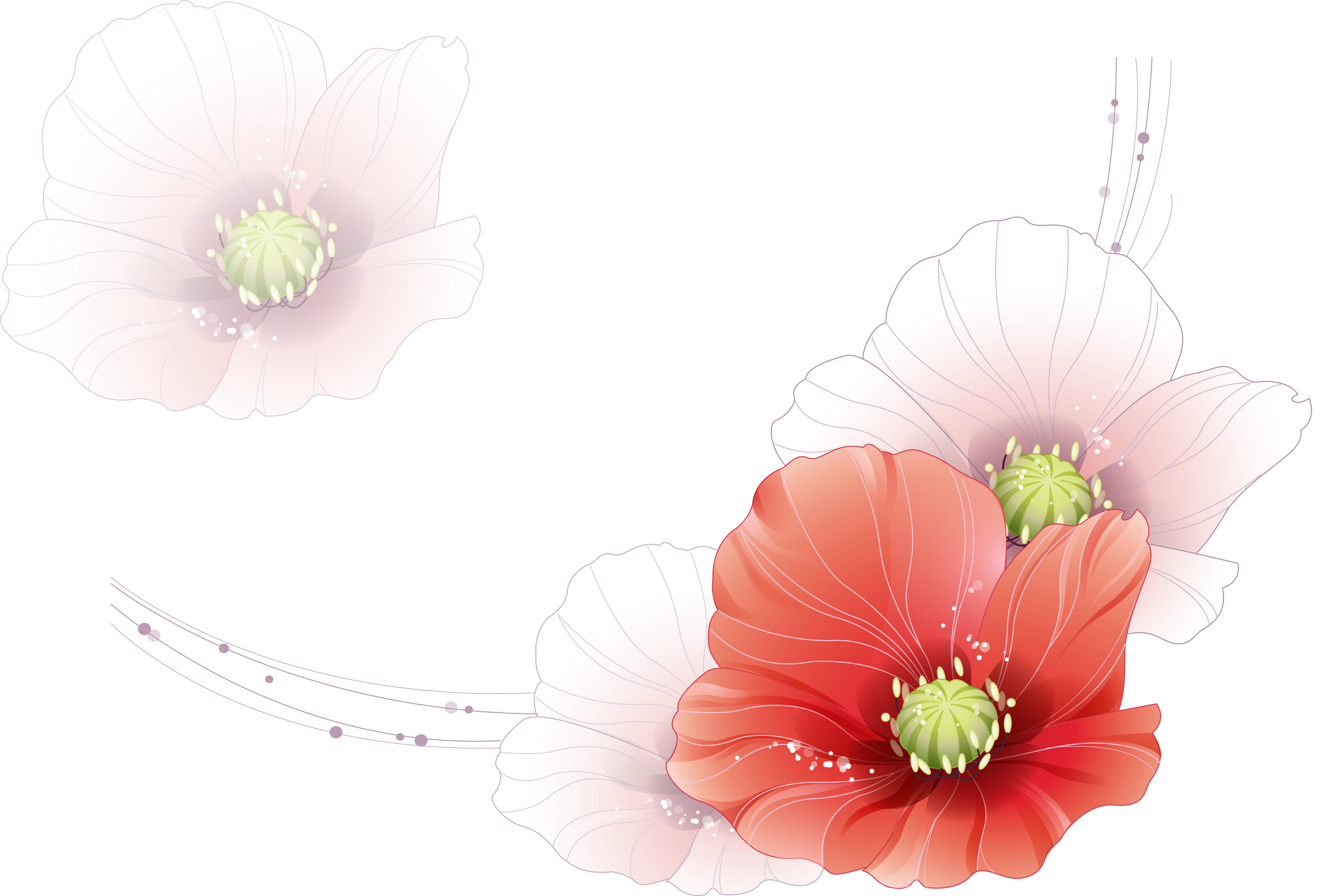 PNG Creative Floral Image (3)