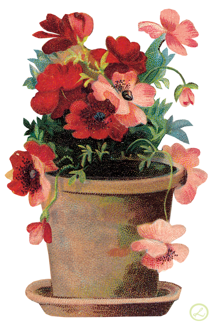 PNG Creative Floral Image (5)