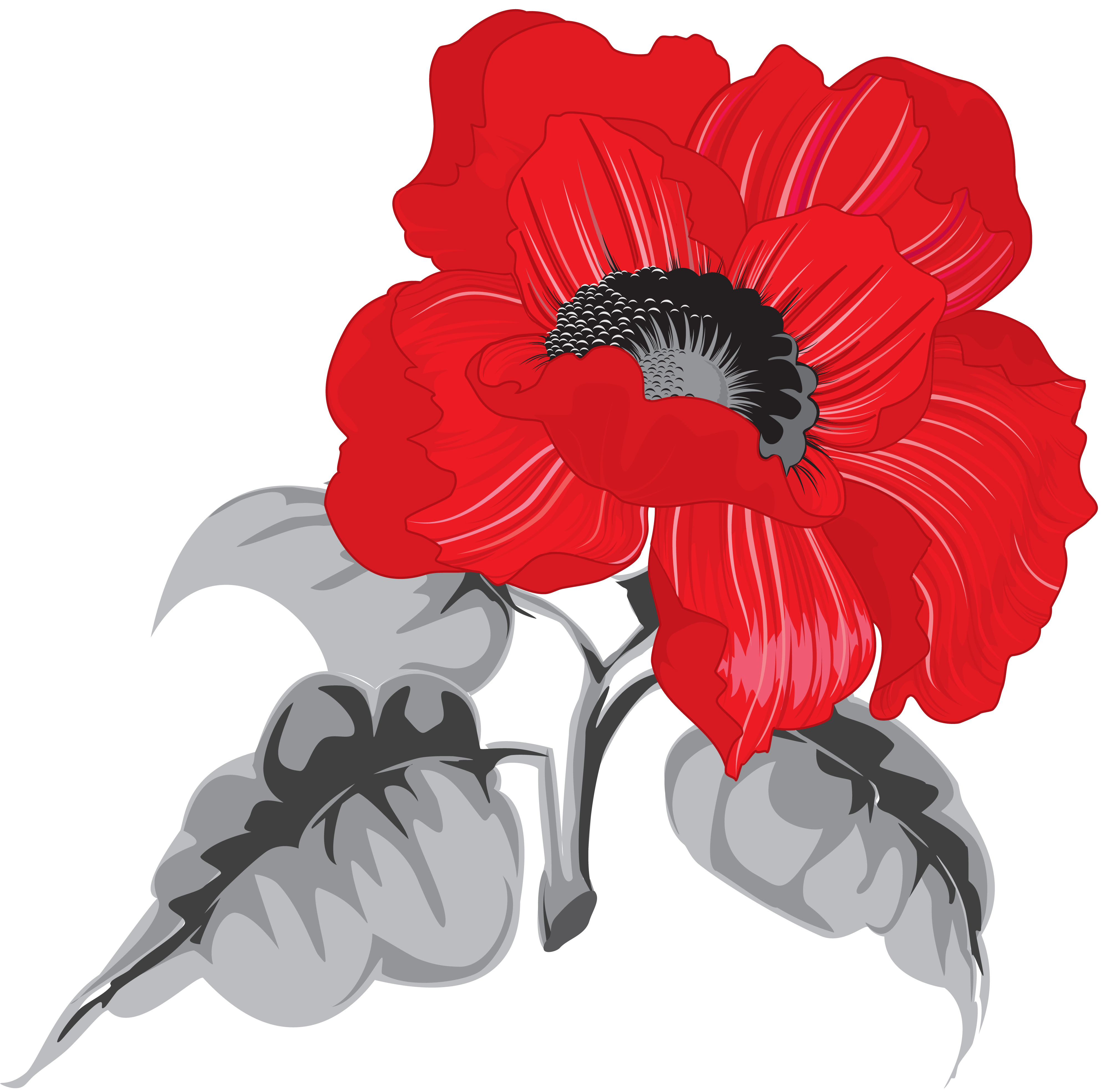 PNG Creative Floral Image (7)