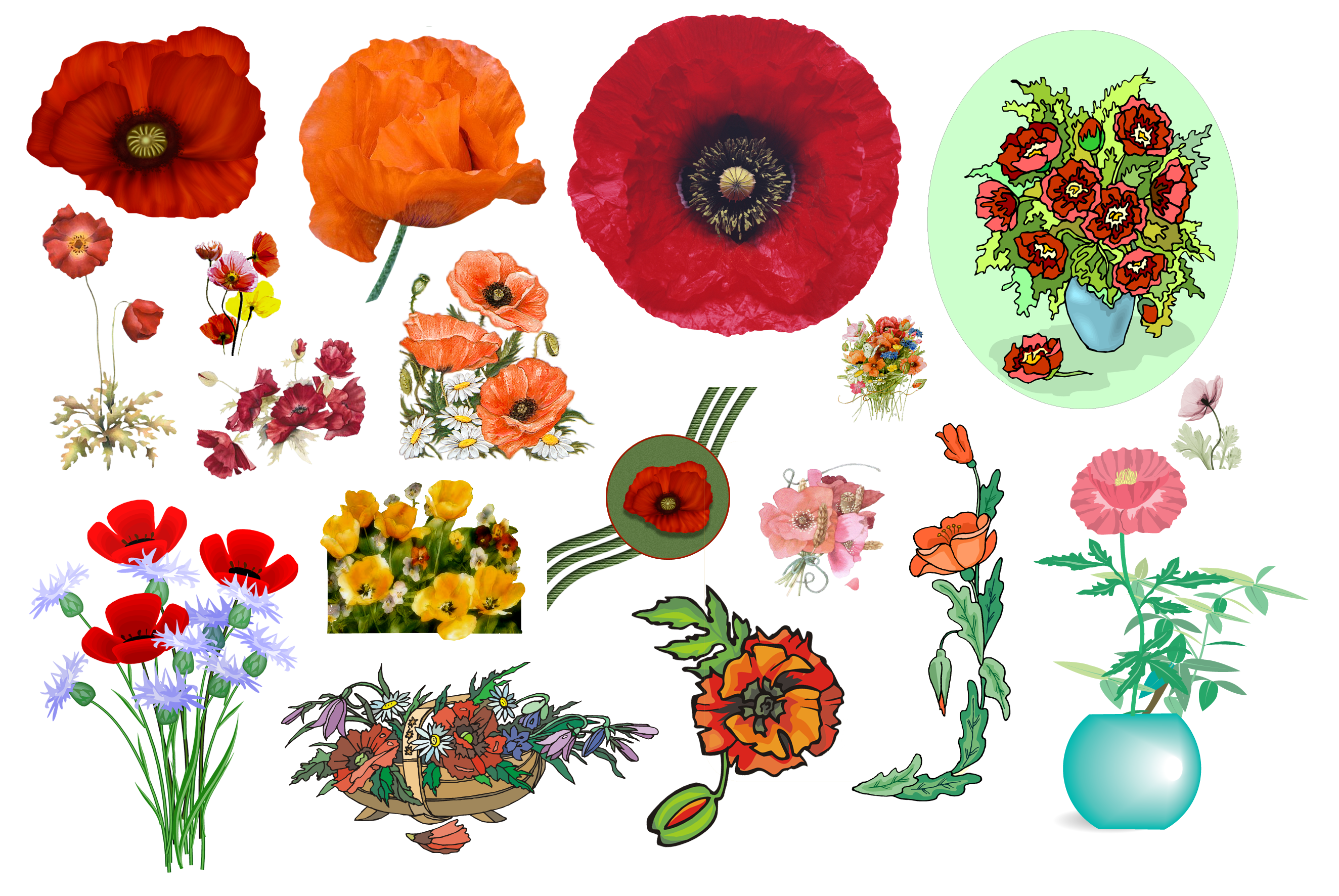 PNG Creative Floral Image (9)