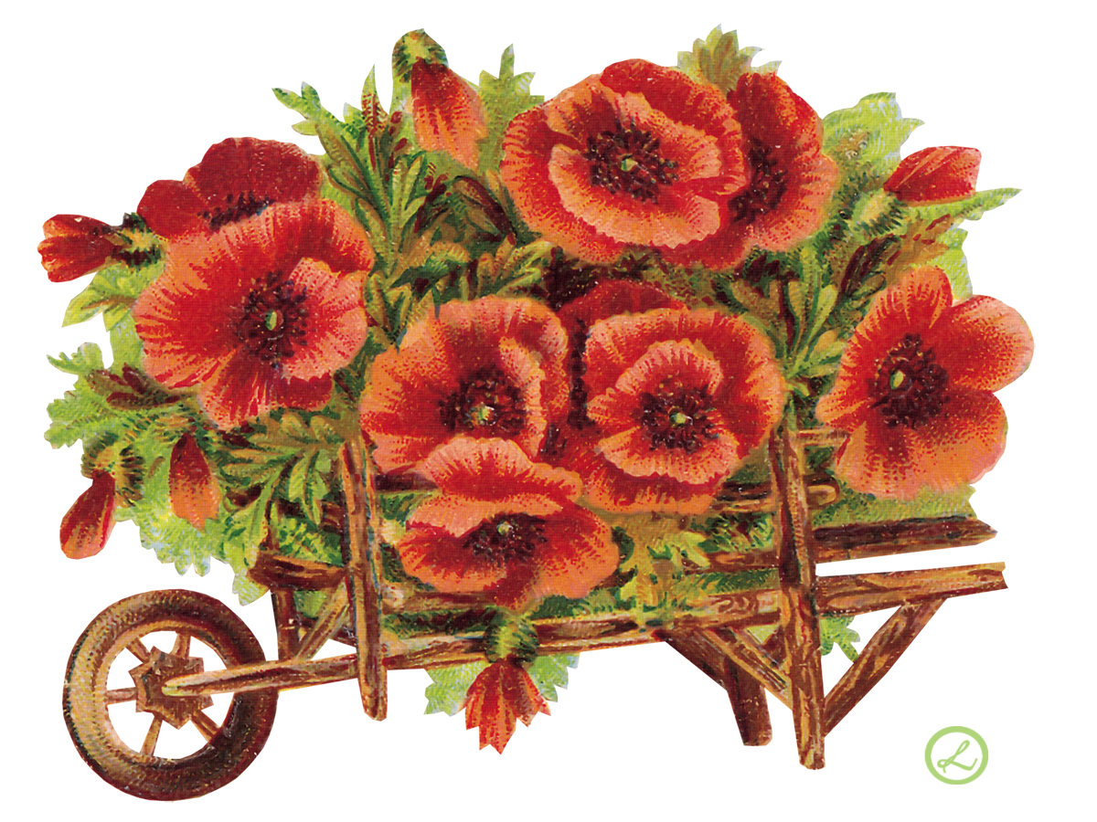 PNG Creative Floral Image (10)